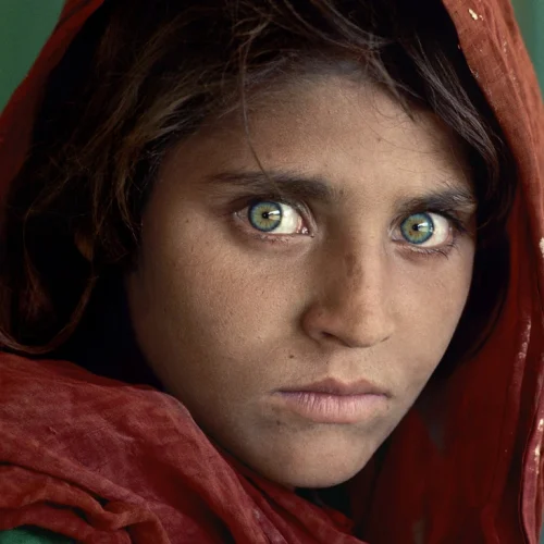 x_nbc_curry_dofmccurry1_131023